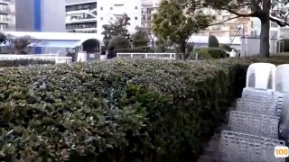 免费看三级片视频